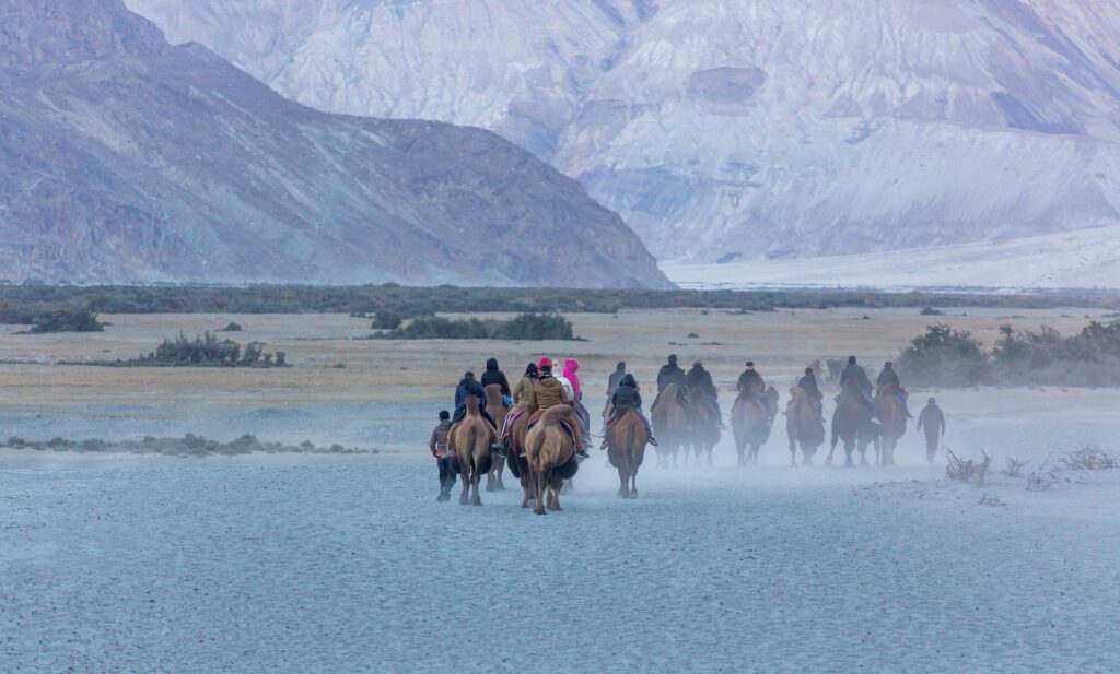Ladakh Nubra Valley & High Passes