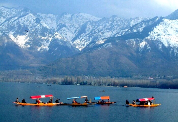 Srinagar Tour Package