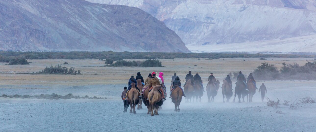 onthegokashmir ladakh nubra valley2 2 Ladakh: A Land of High Passes, Unique Culture and Natural Beauty